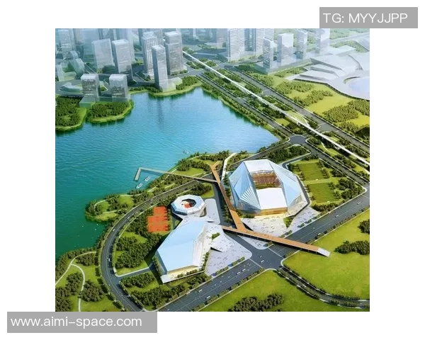 武汉极限运动队状态分析与发展前景探讨